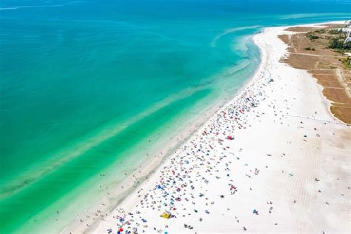 'Siesta Key' — Latest News and Updates