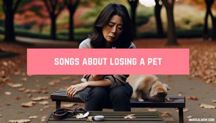 Songs When Losing A Pet
