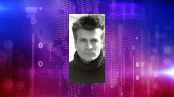 Stephen Shellen Net Worth