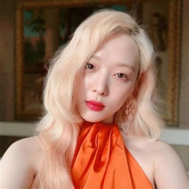 Sulli Net Worth