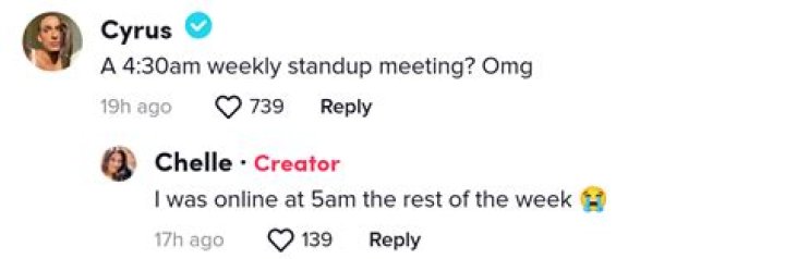 TikToker Fired From Job for Uploading During Work Meeting