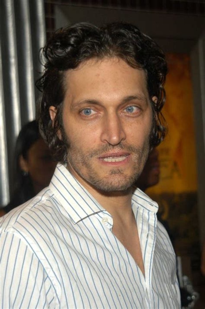Vincent Gallo Net Worth