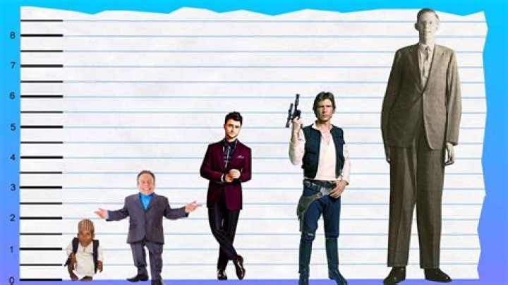 Warwick Davis Height