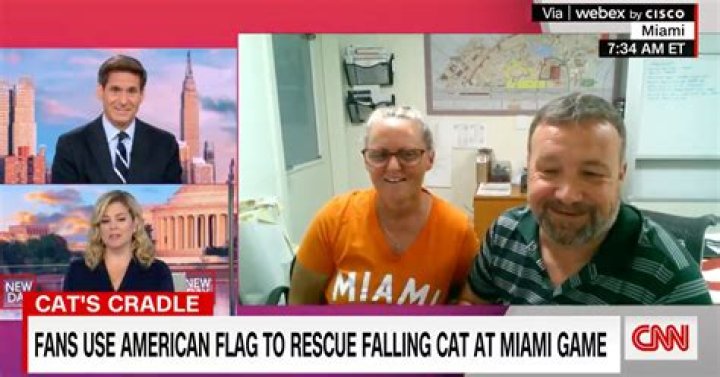 This Cat at the University of Miami Football Game Truly Has Nine Lives