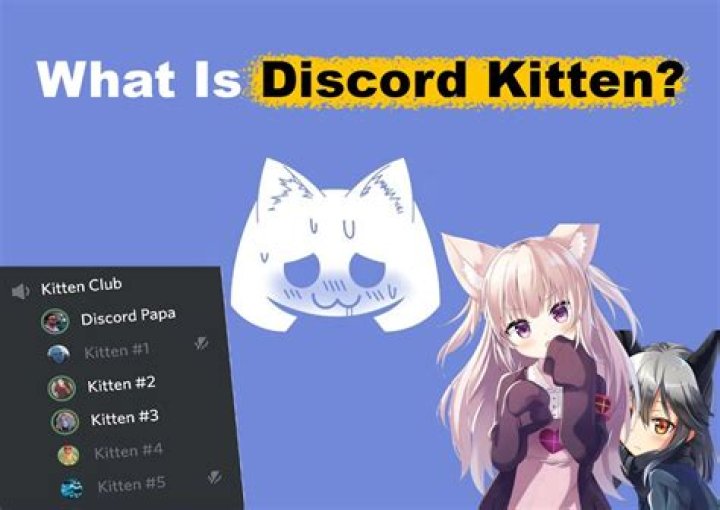 What Is a Discord Kitten? Odd Messaging-App Trend Explained