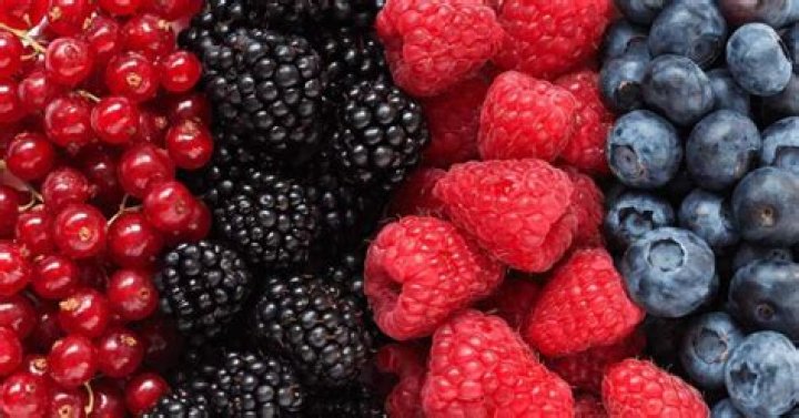 What Is a Snozzberry? A Look at the Word's Wild History