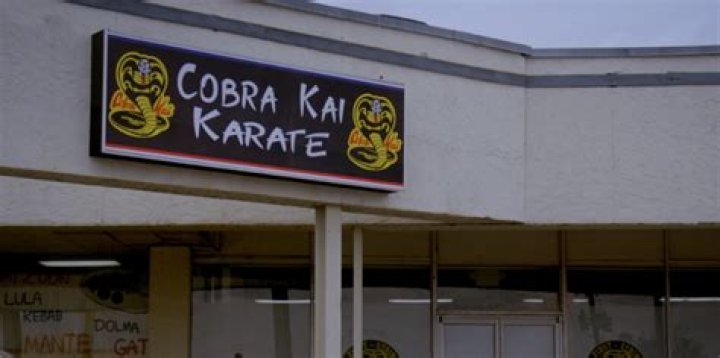 'Cobra Kai' Has Finally Landed at Netflix — Here’s What You Need to Know
