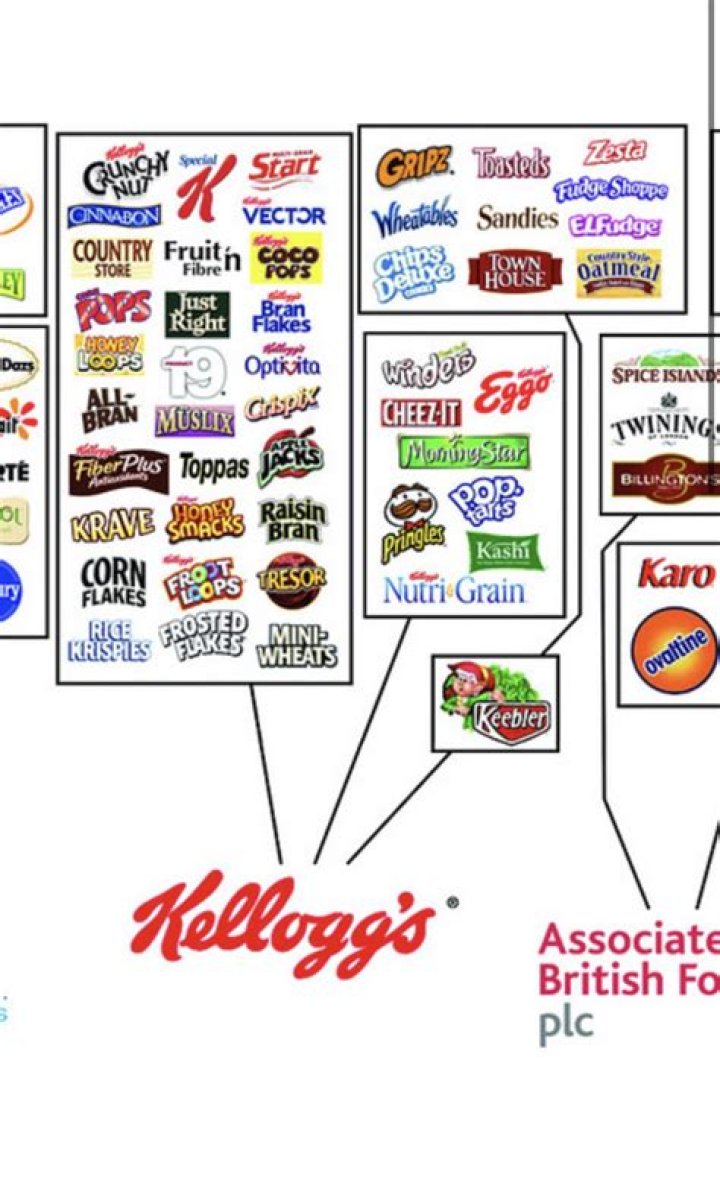 Who Owns Kellogg? – Kellogg Company History