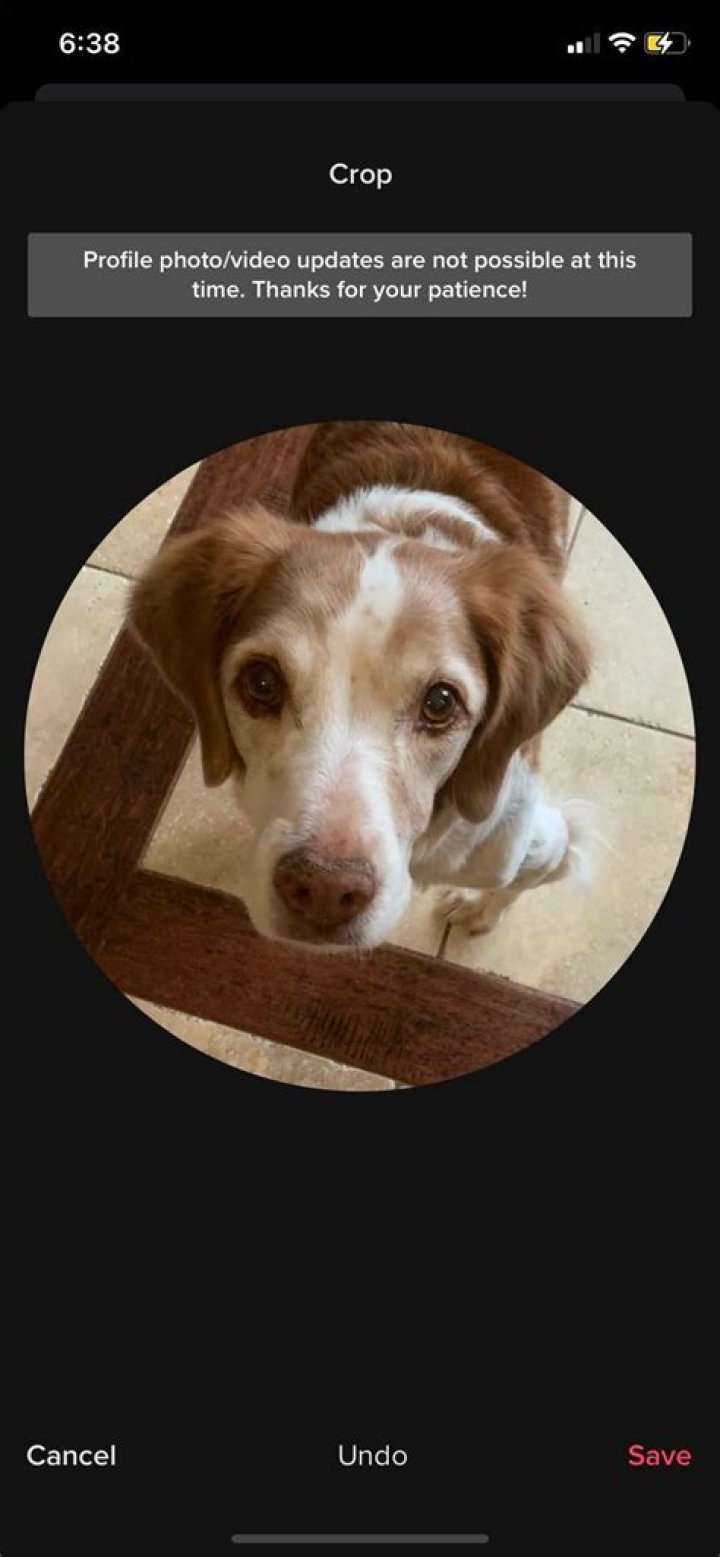 Why Can't You Change Your PFP on TikTok? Here's How to Fix It