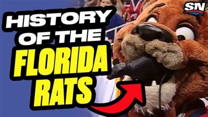 Florida Panthers Fans Have Been Throwing Rats on the Ice for Decades Now