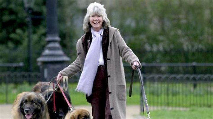 Wilhelmina Cooper Net Worth