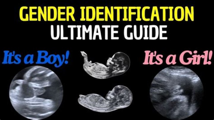 Is a Woman Terrible for Lying to Her Mother-in-Law About Her Baby's Gender? 