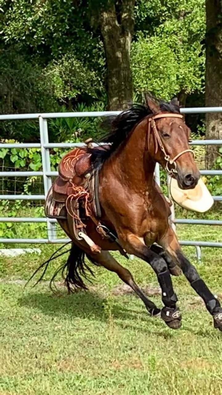 Yasmyn Switzer Phone Number, WhatsApp Number Contact No Mobile